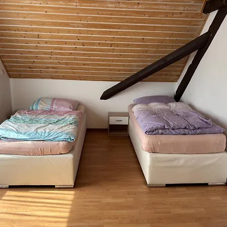 2 Dachgeschoss Mit Kleinen Wintergarten * Riedstadt